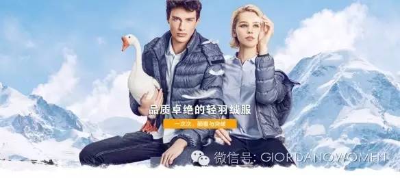 Goose down jacket